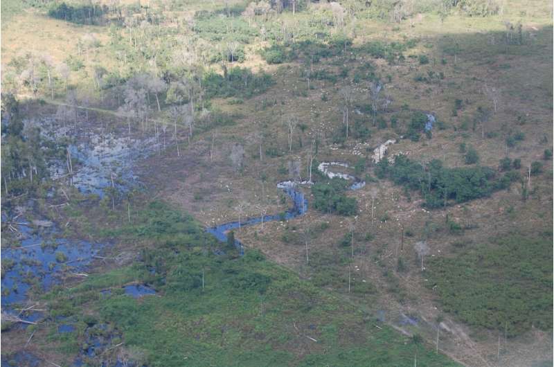 La agricultura impulsa más del 90% de la deforestación tropical