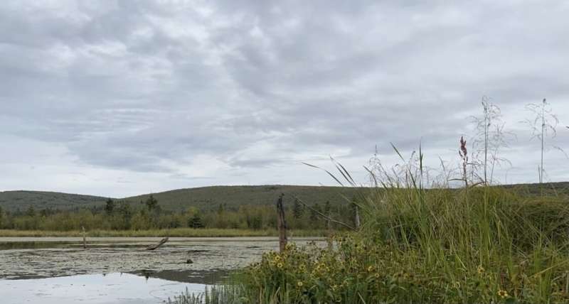 Alaska's Newest Lakes Are Belching Methane