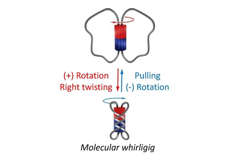 All wound up: A reversible molecular whirligig