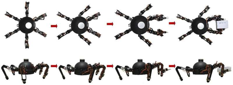 ALLOMAN hexapod robot: a novel multifunctional platform with leg–arm integration