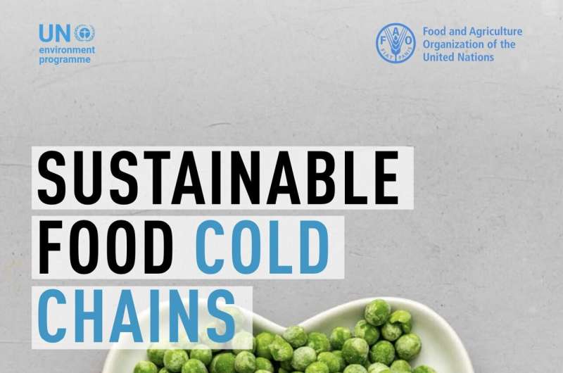 Amid food and climate crises, investing in sustainable food cold chains crucial: UN