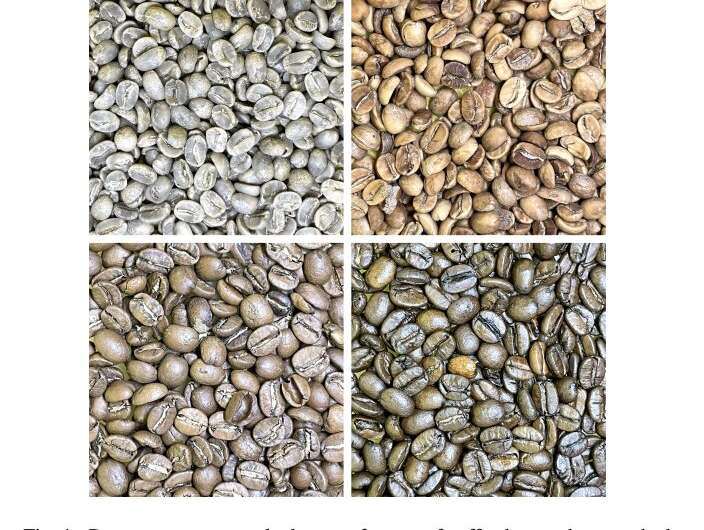 Une application Android pour vérifier la torréfaction des grains de café