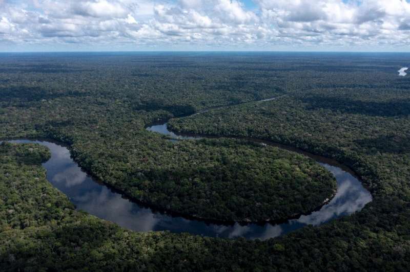 An estimated 60 percent of tree species in the Amazon are yet to be discovered