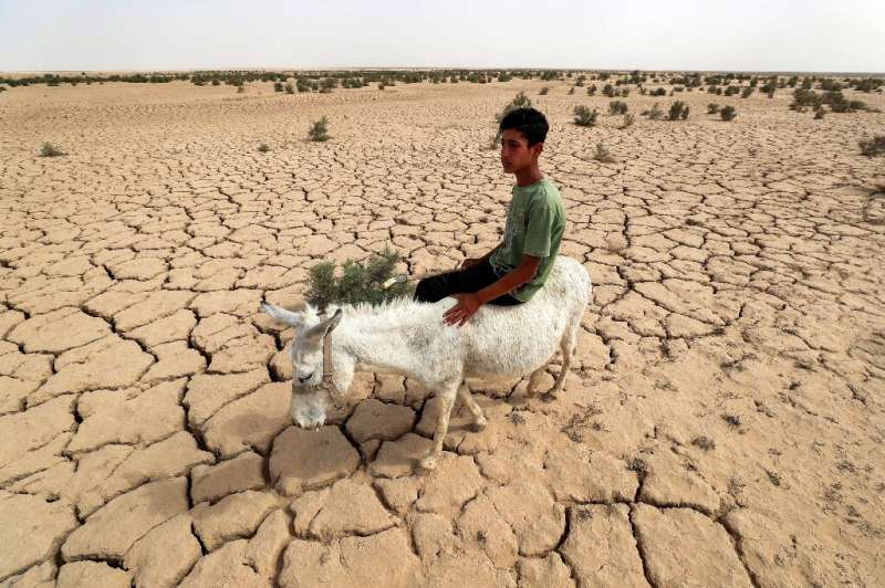 An Iraqi rides a donkey across the dried out lake bed that is all that is left of Lake Hamrin, in normal years a key irrigation 