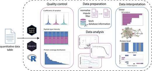 An R package for comprehensive data analysis of peptide- and protein-centric bottom-up proteomics data