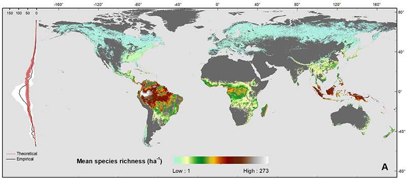 Analysis of global tree population explains baffling trends in species richness