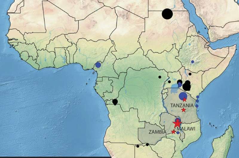 Ancient DNA helps reveal social changes in Africa 50,000 years ago that shaped the human story