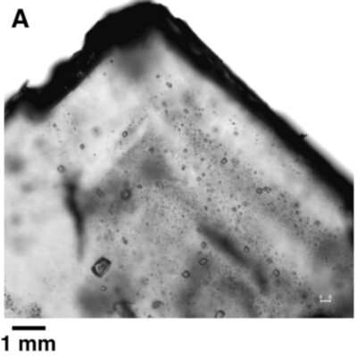 Ancient microorganisms found in halite may have implications for search for life