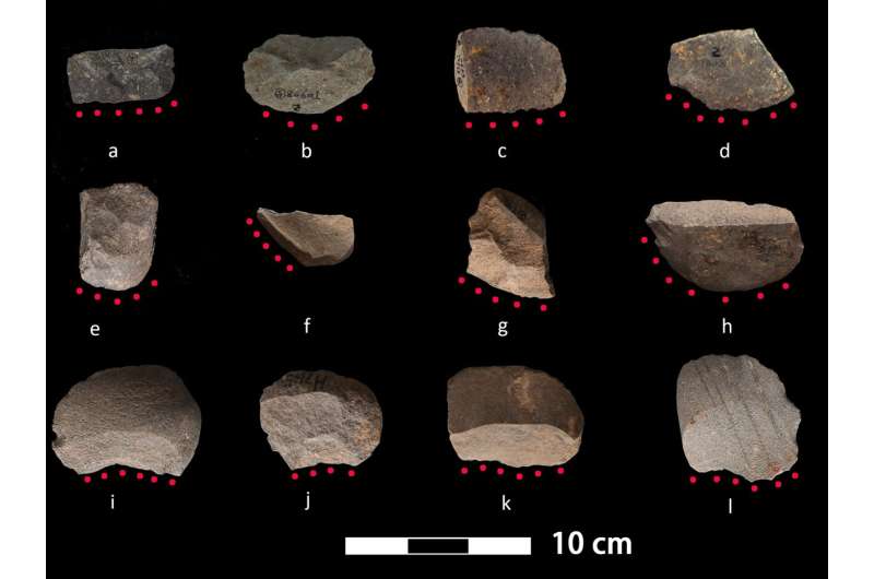 Ancient stone tools from China provide earliest evidence of rice harvesting