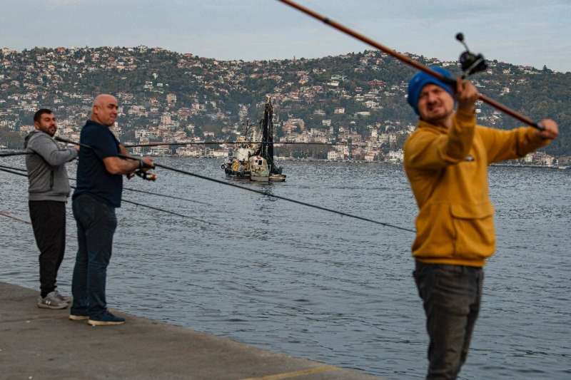 Anglers fishing in the Bosphorus in Istanbul say trawlers are taking all the fish