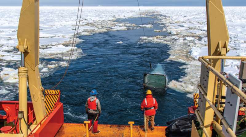 Antarctic research links warming to fish decline