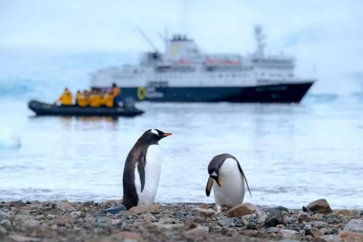 Antarctic stations are plagued by sexual harassment. It's time for things to change