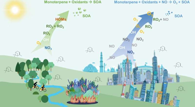 Anthropogenic monoterpenes are worsening urban ozone pollution