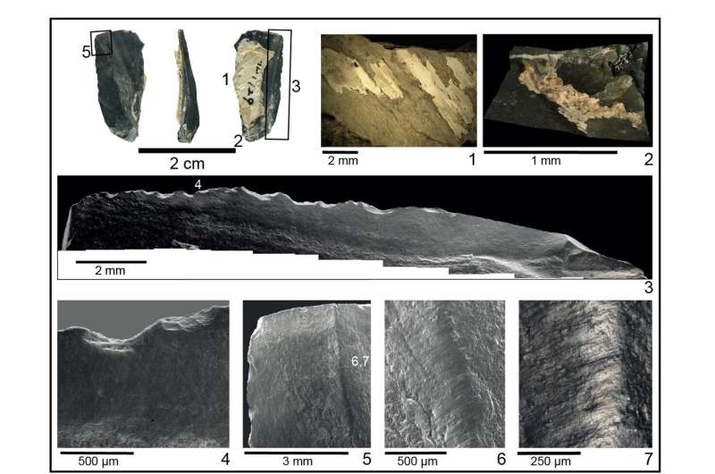 Archaeologists discover innovative 40,000-year-old culture in China