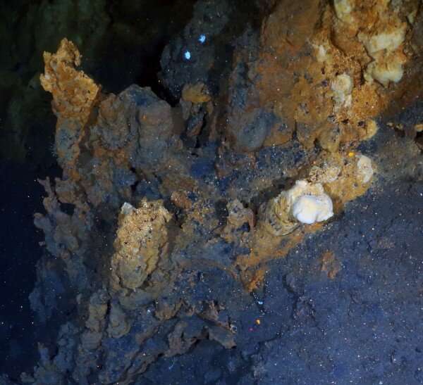 Arctic hydrothermal vent site could help in search for extraterrestrial life