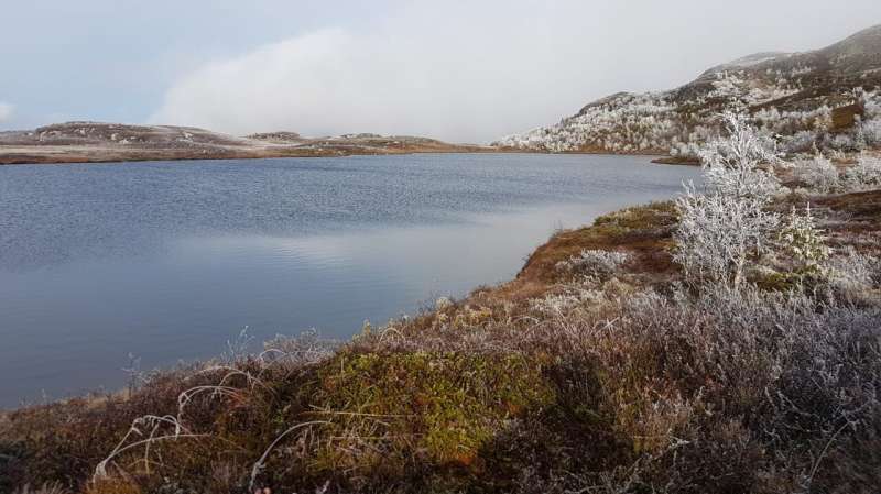 Arctic lakes act as “reactors” or “chimneys” for carbon dioxide