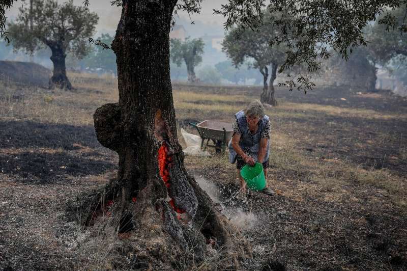 Armies of firefighters battled blazes in France, Portugal and Spain as Britain braced for 'extreme heat'