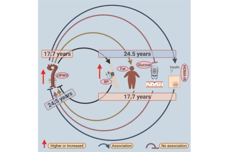 Arterial stiffness may be a novel risk factor for hypertension from a young age