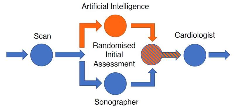 Artificial intelligence assessment of heart function is superior to sonographer assessment
