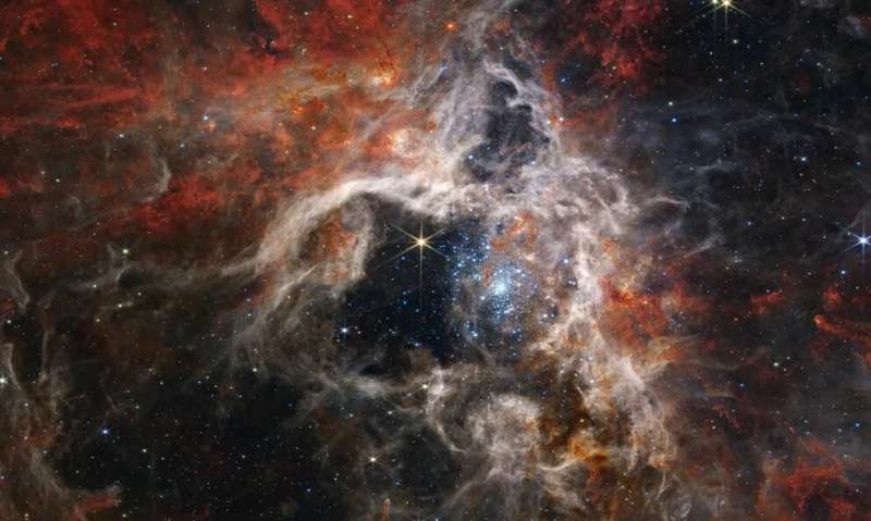 Astrophysics: Star-childhood shapes stellar evolution