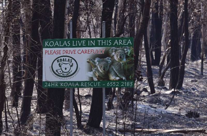 Australia's 2019-2020 &quot;Black Summer&quot; bushfires burned more than eight million hectares of native vegetation and killed