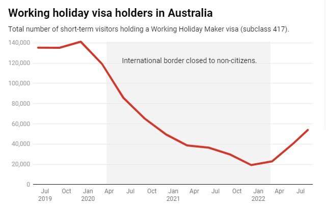 Australia's borders are open, so where are all the backpackers?