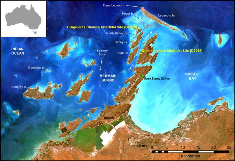 Australia's first marine Aboriginal archaeological site questioned