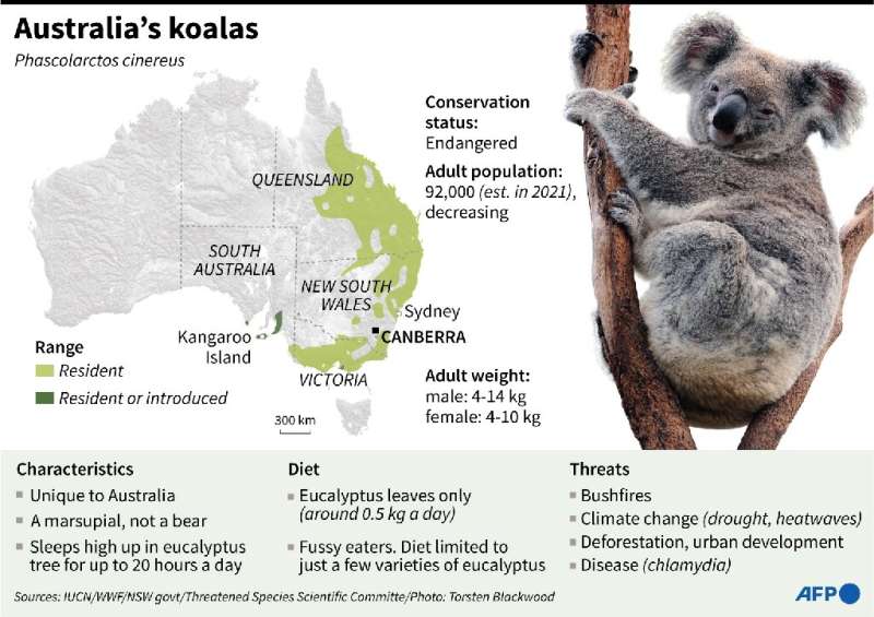 Australia's koalas had been living on a &quot;knife edge&quot; even before the devastating &quot;Black Summer&quot; bushfires of