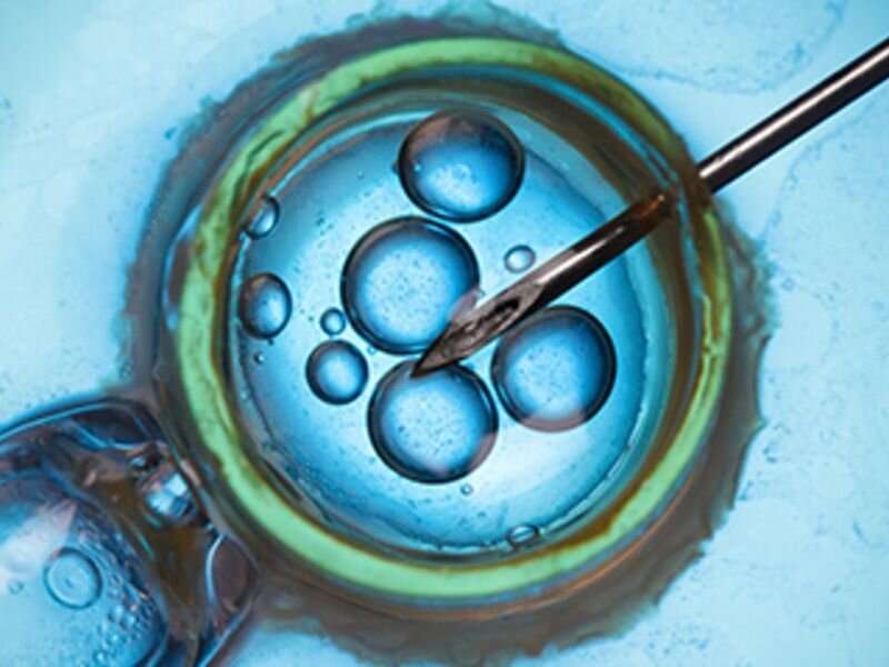 Autologous oocyte thaw yields final live birth rate of 39 percent