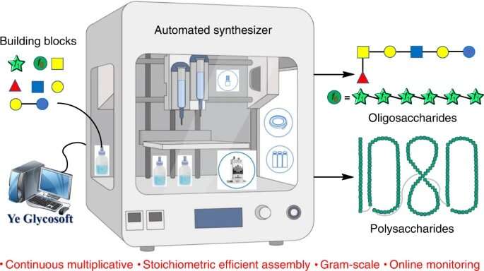 Automated carbohydrate synthesizer produces polysaccharides of record-breaking length