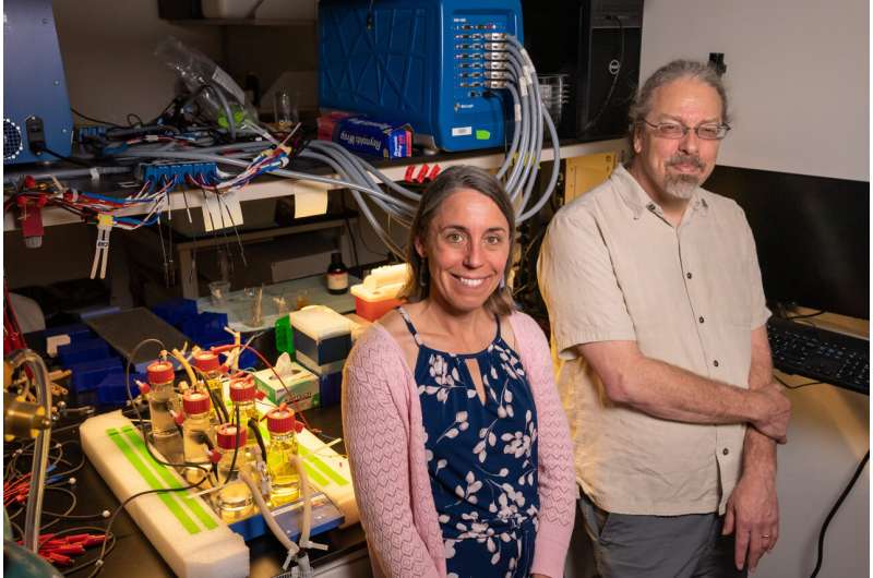 Bacterial sensors send a jolt of electricity when triggered