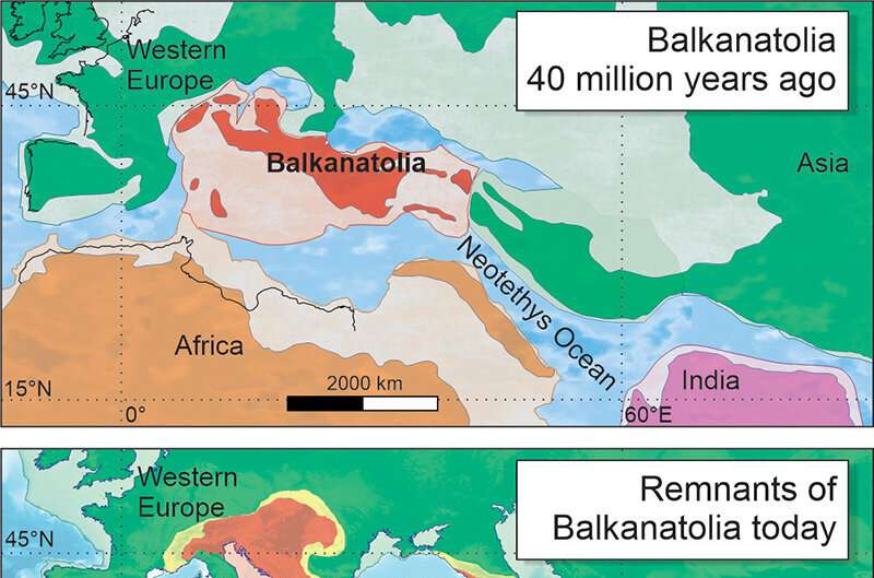 Balkanatolia: Yhe forgotten continent that sheds light on the evolution of mammals
