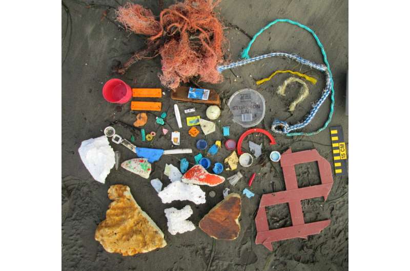 Beach trash accumulates in predictable patterns on Washington and Oregon shores