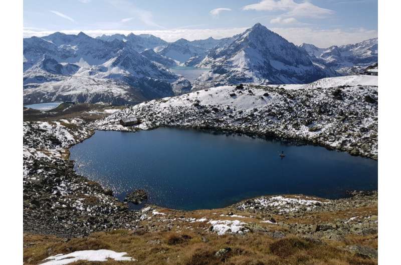 Belt and suspenders: Alpine lake bacteria deploys two light-harvesting systems