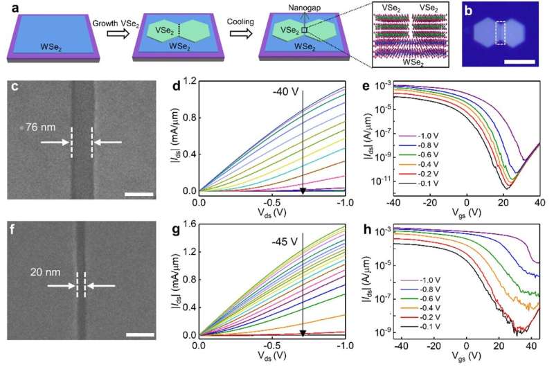 Bilayer tungsten diselenide transistors with ON-state current densities over 1.5 milliamperes per micrometre 