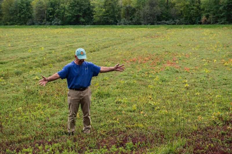 Billy McCaffrey, 70, says a prolonged drought burned out a section of his Taunton, Massachusetts cranberry bog