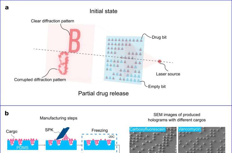 Biocompatible binary hologram with drug-elution capabilities