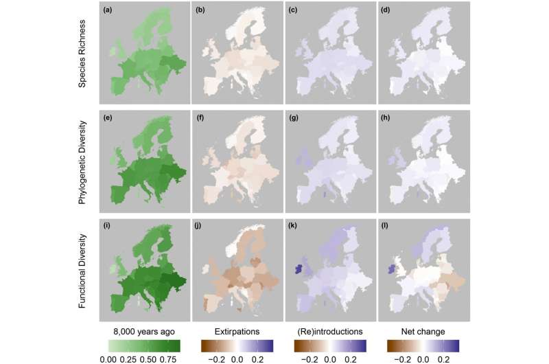 Biodiversity of Europe's mammals as rich as it was 8,000 years ago, according to new research