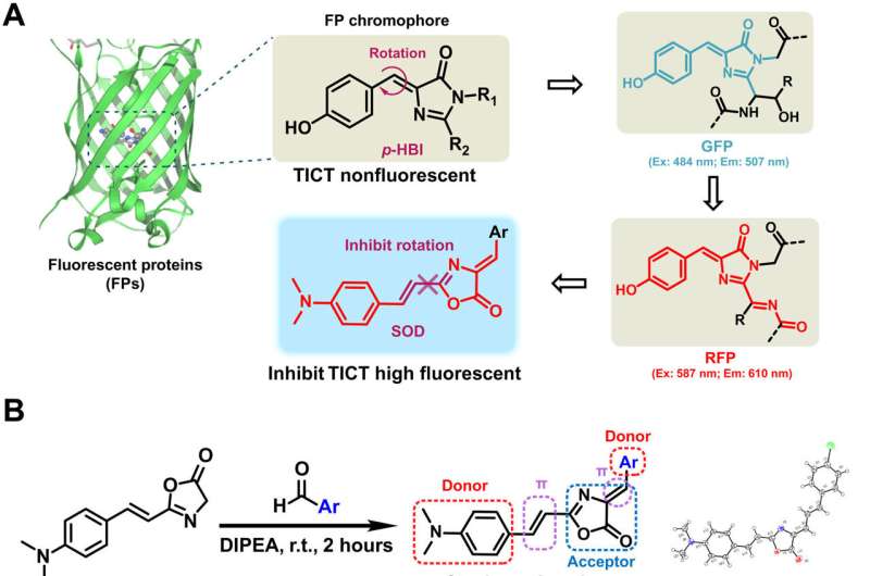 Bioinspired molecular dyes for biomedical fluorescent imaging