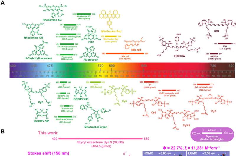 Bioinspired molecular dyes for biomedical fluorescent imaging