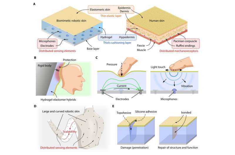 Biomimetic elastomeric robot skin has tactile sensing abilities