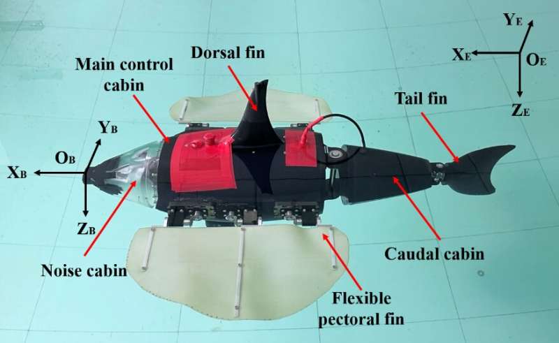 Bionic underwater vehicle inspired by fish with enlarged pectoral fins