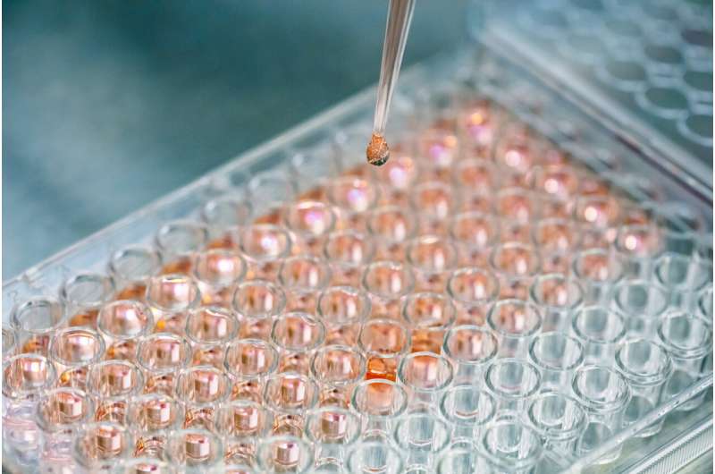 Bioreactor keeps cell culture conditions under control