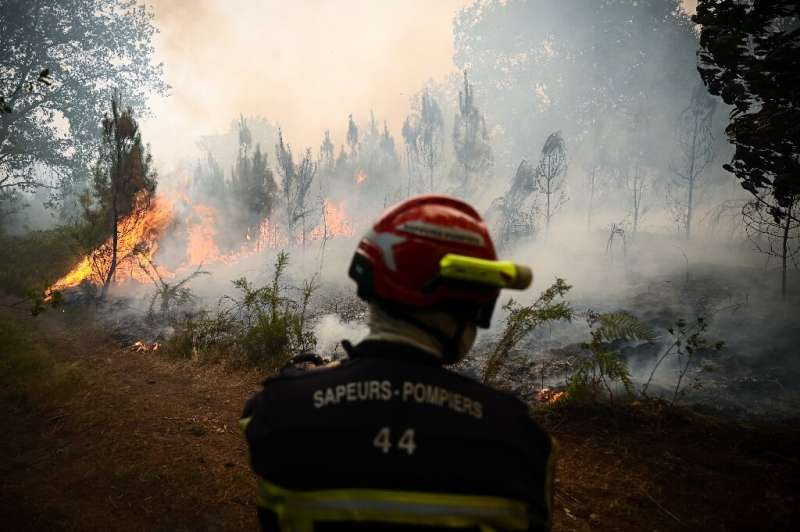 Blazes in France, Greece, Portugal and Spain have destroyed thousands of hectares of land