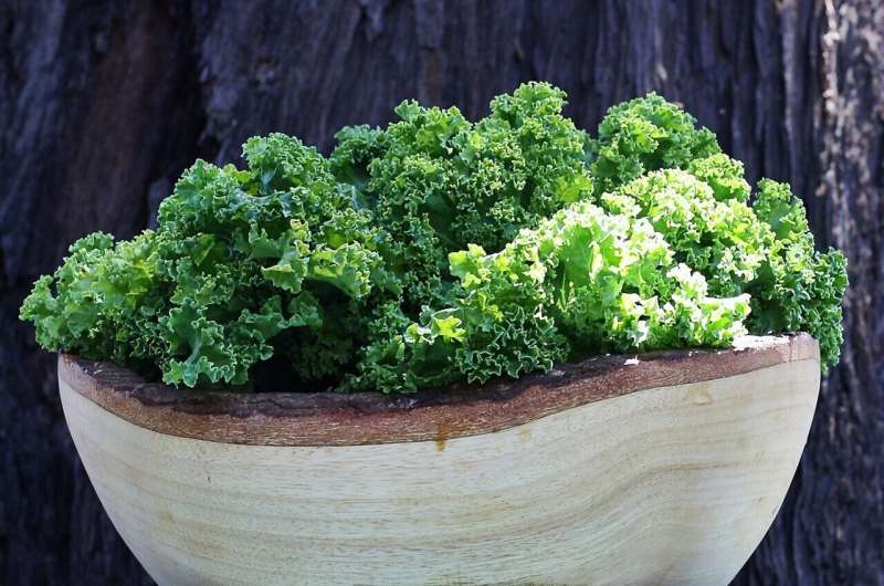 bowl of kale
