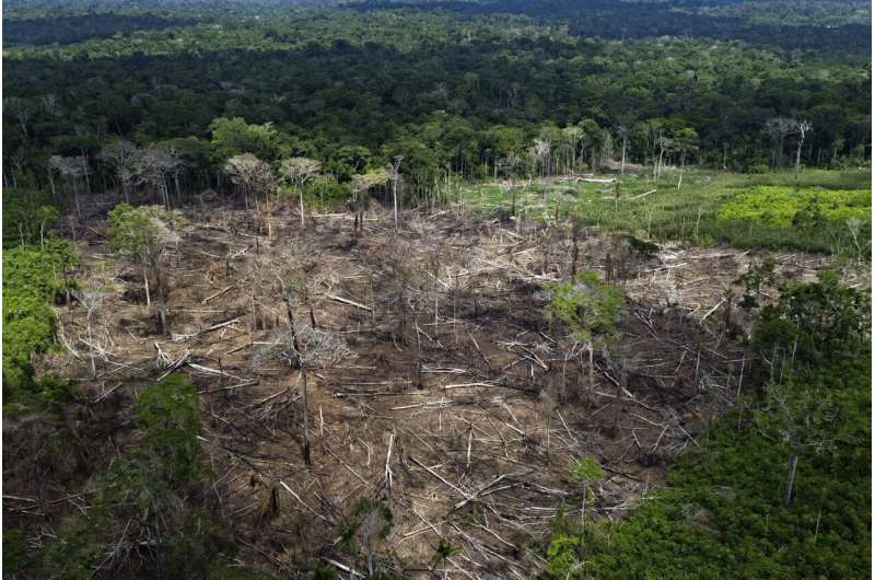 Brazil's Lula promises no deforestation but challenges loom