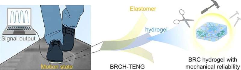 Breakage-resistant conductive hydrogel extends service life of triboelectric nanogenerators