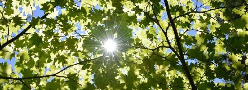 Breakthrough artificial photosynthesis comes closer