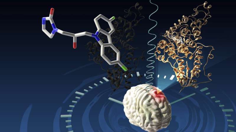 Breakthrough brings potential glioblastoma drug into focus
