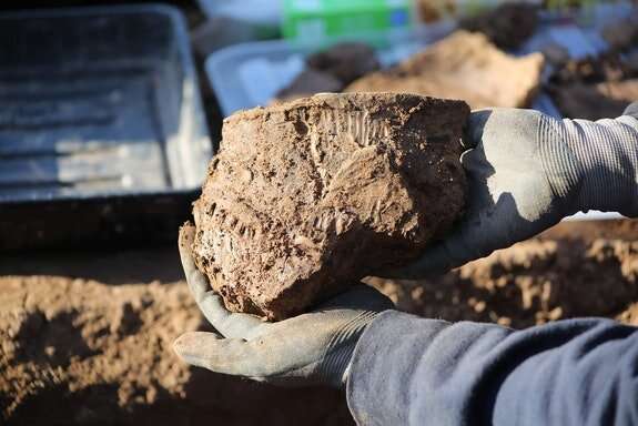 Bronze Age enclosure could offer earliest clues on the origins of Cardiff